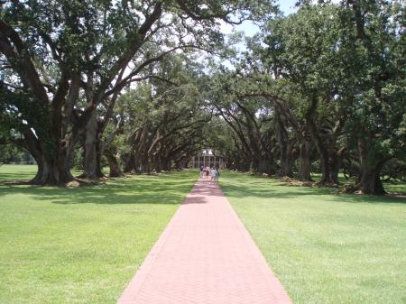 Oak Alley Plantation