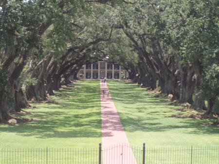 Les Plantations