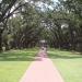 Oak Alley Plantation