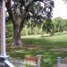 Vue de la plantation