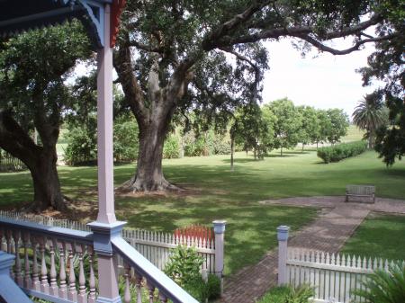 Vue de la plantation