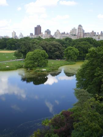 The city from Central Park