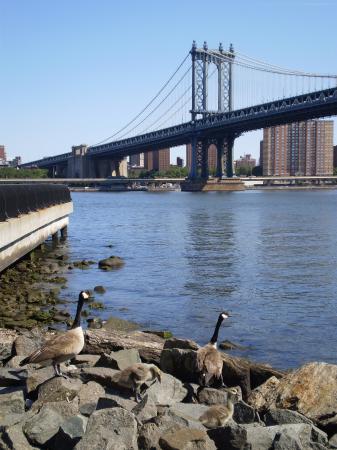 Manhattan Bridge