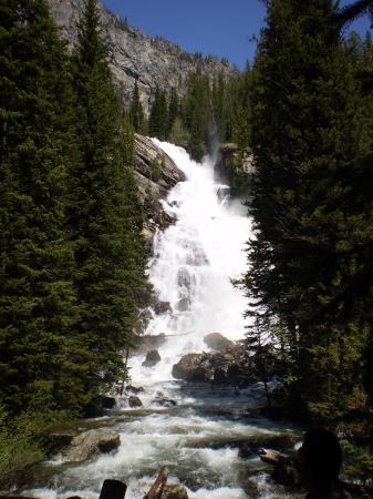 Landscape7