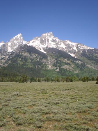 Landscape7