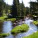 Landscape1
