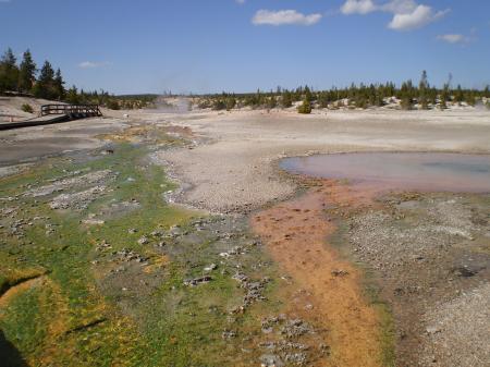 Landscape6