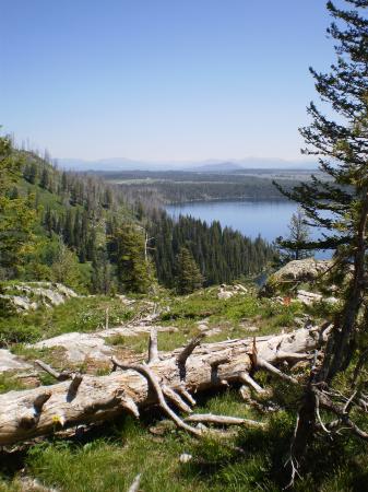 Landscape8