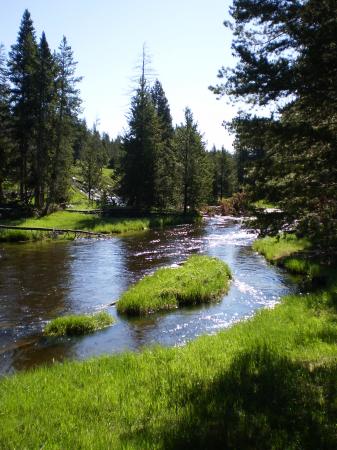 Landscape1