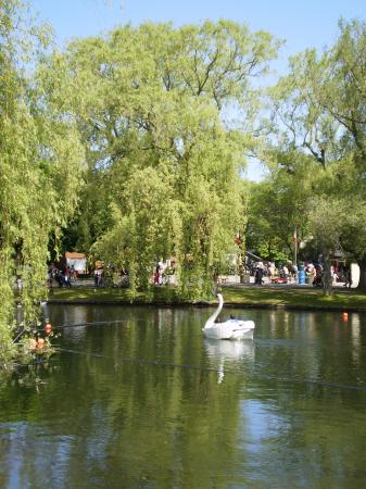 Toronto Islands 1