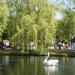 Toronto Islands 1