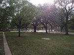 804929250.JPG